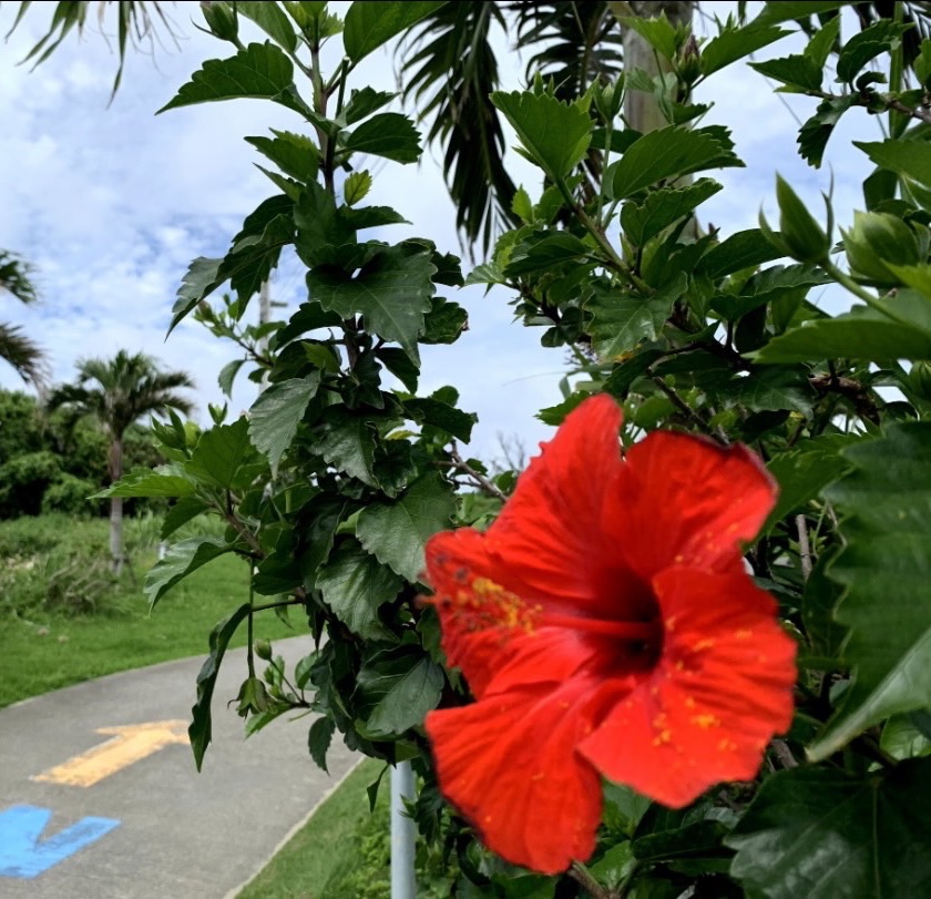 トトノウスペース